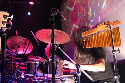 Ozric Tentacles