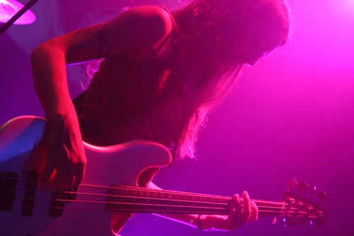 Ozric Tentacles
