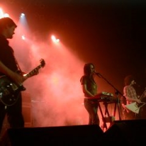 The Wannadies