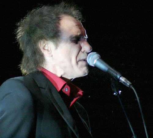 Ray Davies