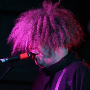 Melvins