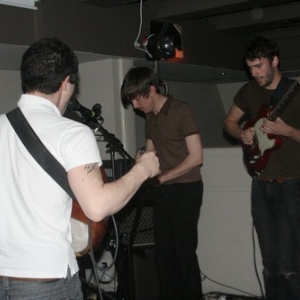 Foals