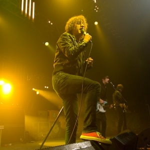 The Pigeon Detectives