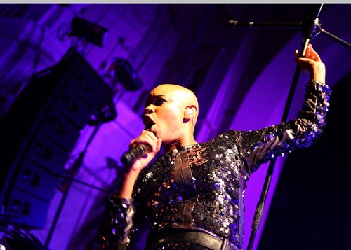 Skunk Anansie