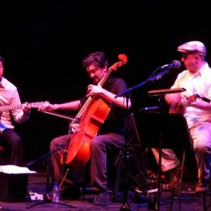 The Magnetic Fields