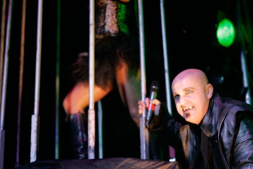 Vampires Rock