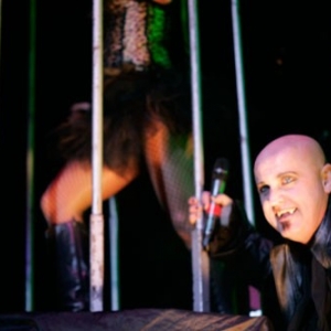 Vampires Rock