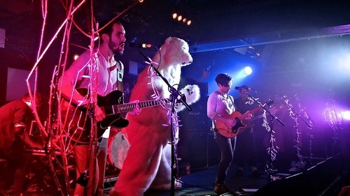 British Sea Power