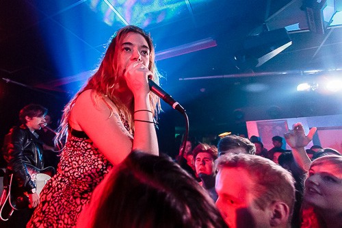 Marmozets