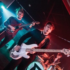 Marmozets