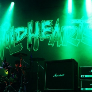 The Wildhearts