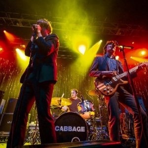 Cabbage