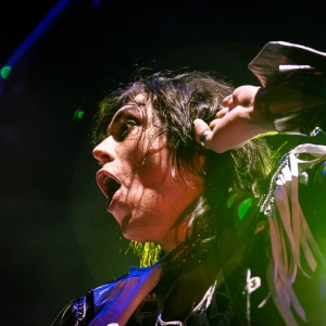 The Struts