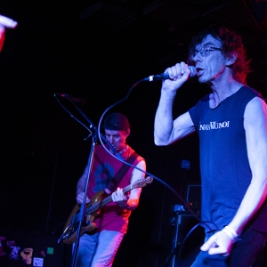 Subhumans