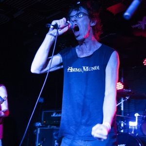 Subhumans