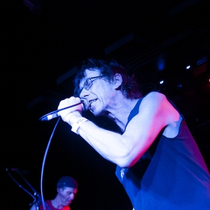 Subhumans